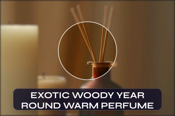 exotic woody year-round warm perfume