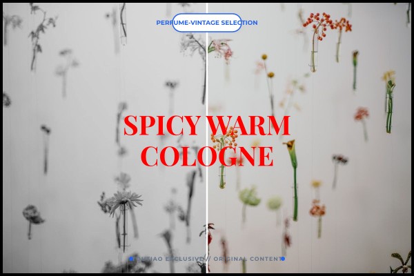 spicy warm cologne
