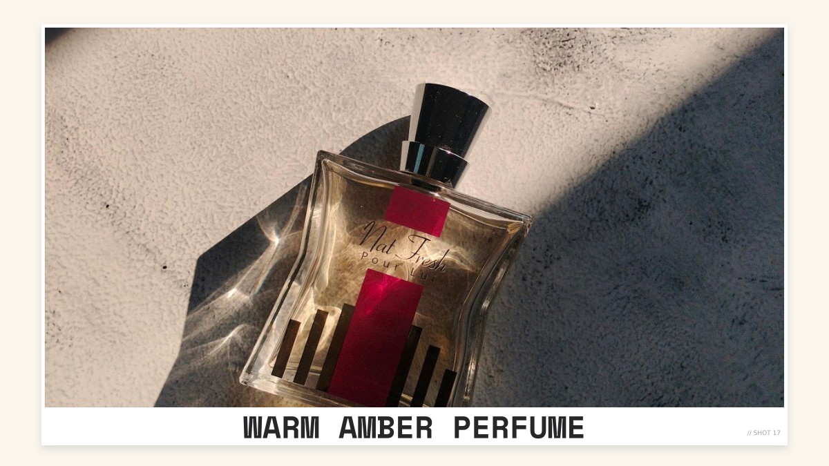 warm amber perfume